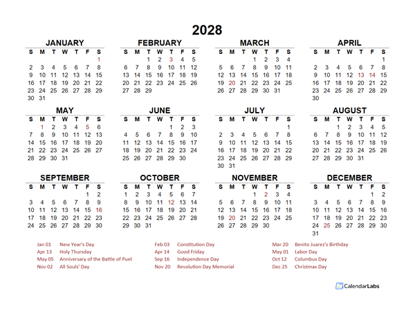 2028 Year at a Glance Calendar with Mexico Holidays