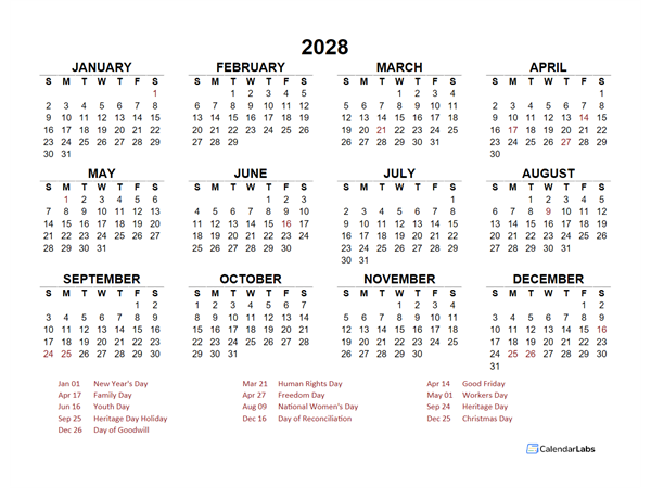 2028 Year at a Glance Calendar with South Africa Holidays