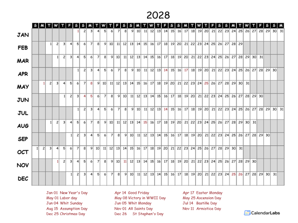 2028 Yearly Project Timeline Calendar France