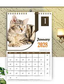 2028 Cat Wall Calendar