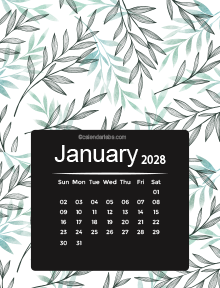 2028 Colorful Classic Nature Pattern Calendar