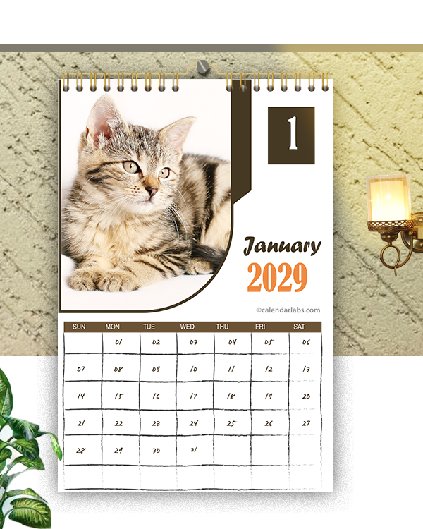 2029 Cat Wall Calendar