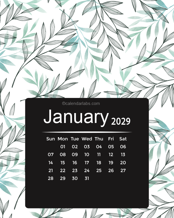 2029 Colorful Classic Nature Pattern Calendar