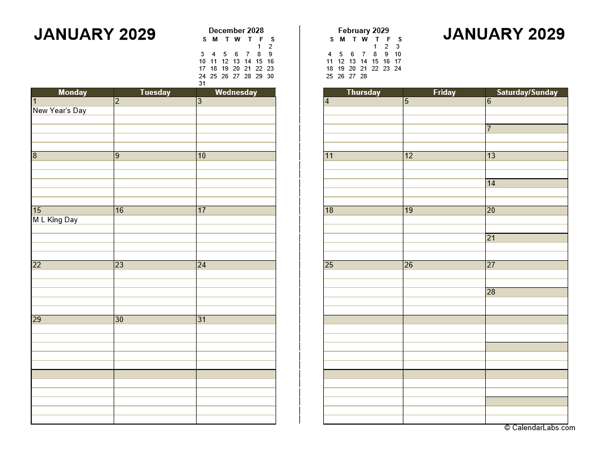 2029 Diary Planner Template