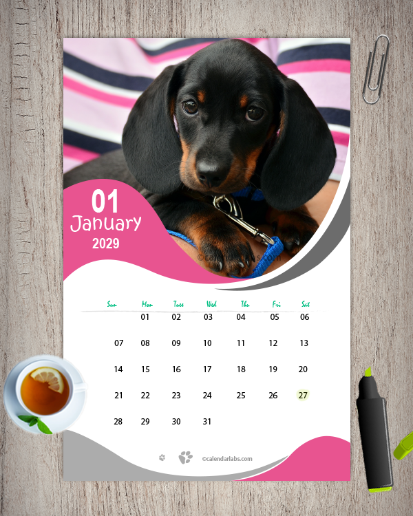2029 Dog Breed Monthly Wall Calendar