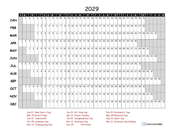 2029 Excel Calendar Project Timeline