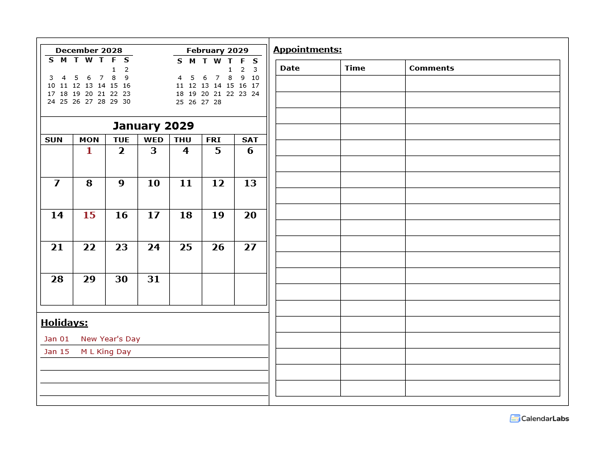 2029 Monthly Appointment Calendar Template