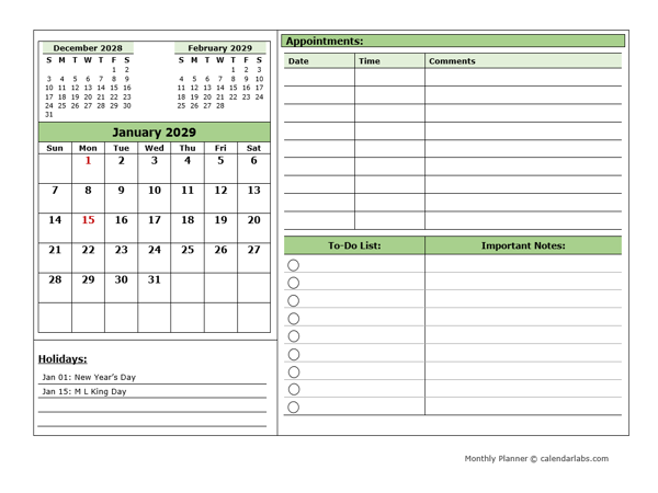 2029 Monthly Appointment Planner
