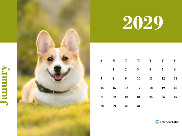 2029 Photo Calendar Landscape Template