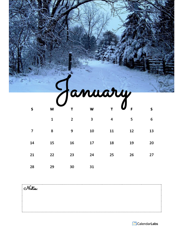 2029 Portrait Photo Calendar Template