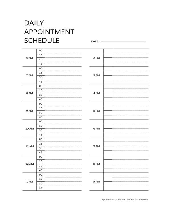 Printable 2029 Appointment Calendar