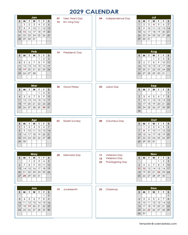 2029 Year At A Glance Word Calendar Template