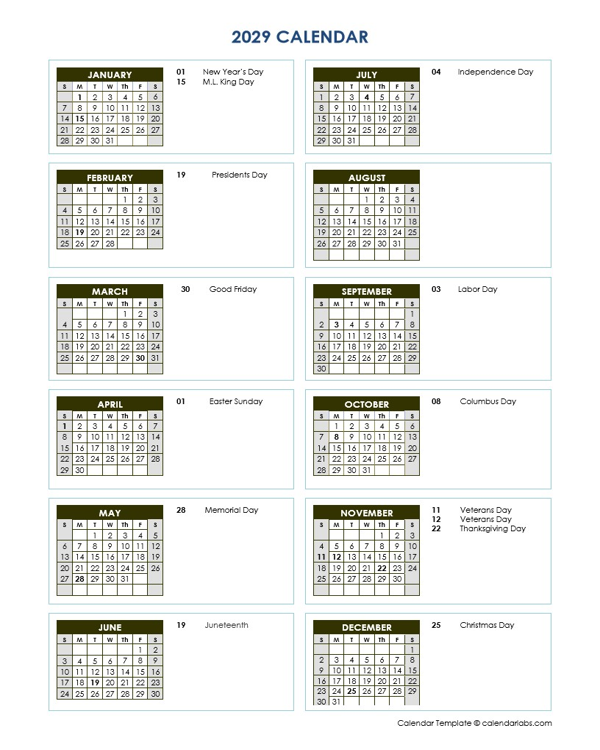 2029 Full Year Calendar Vertical Template