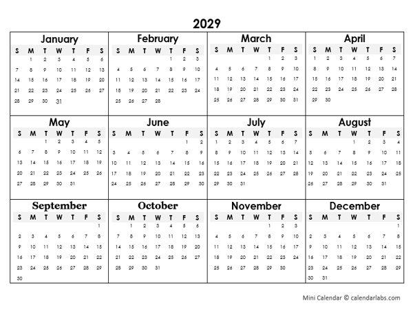2029 Yearly Mini Calendar Template