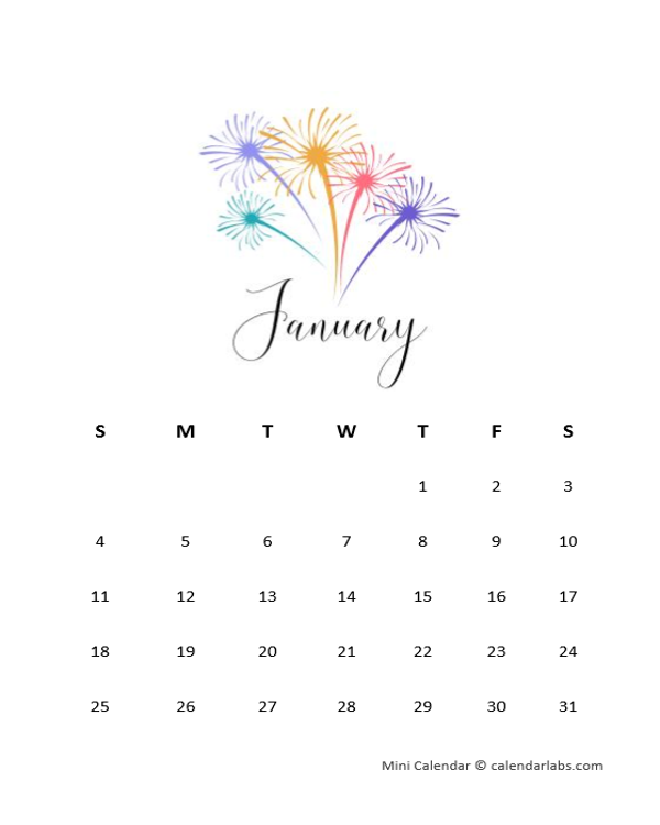 Custom Mini Calendar 2029