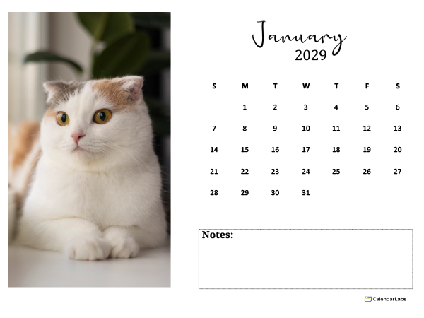 Free 2029 Photo Calendar Template