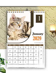 2029 Cat Wall Calendar