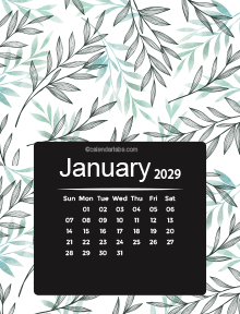 2029 Colorful Classic Nature Pattern Calendar