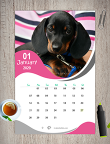 2029 Dog Breed Monthly Wall Calendar