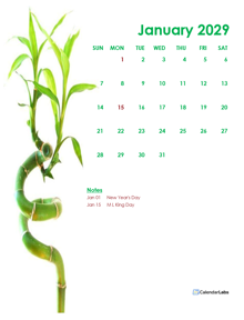 2029 Monthly Calendar Template Green Design