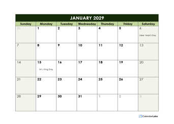 2029 Monthly Google Docs Calendar Template