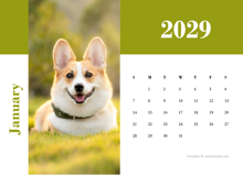 2029-monthly-photo-landscape-calendar