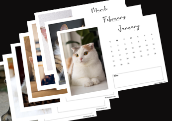Free 2029 Photo Calendar Template