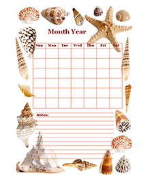 Monthly Blank Calendar in Designer Sea Shell