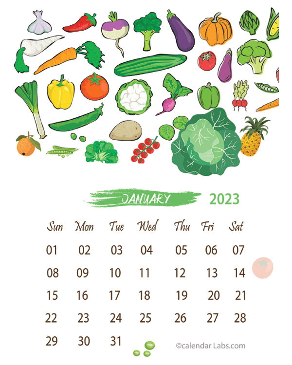 2023 Monthly Calendar Template