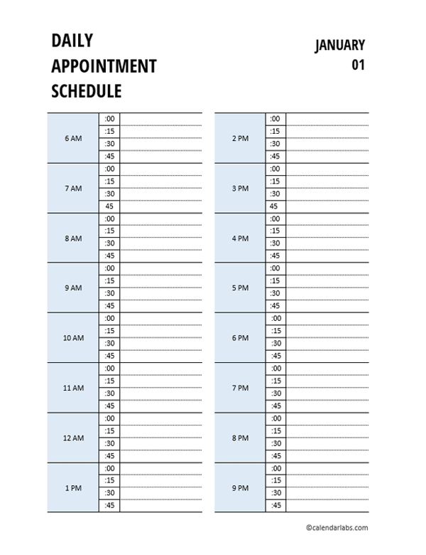 Daily 15min Interval Appointment Book