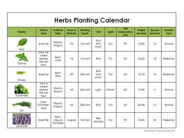 Herbs Planting Calendar