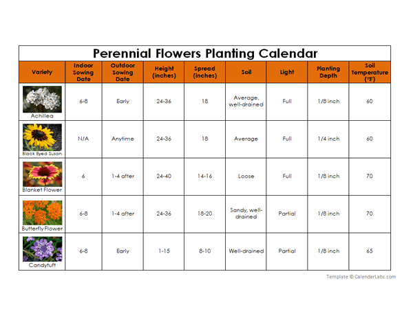 Perennial Flowers Planting Calendar