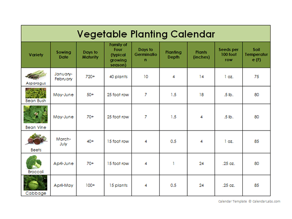 Vegetable Planting Calendar