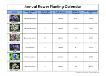 Annual Flower Planting Calendar
