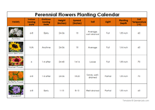 Perennial Flowers Planting Calendar