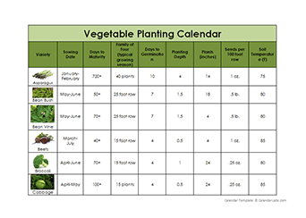 Vegetable Planting Calendar