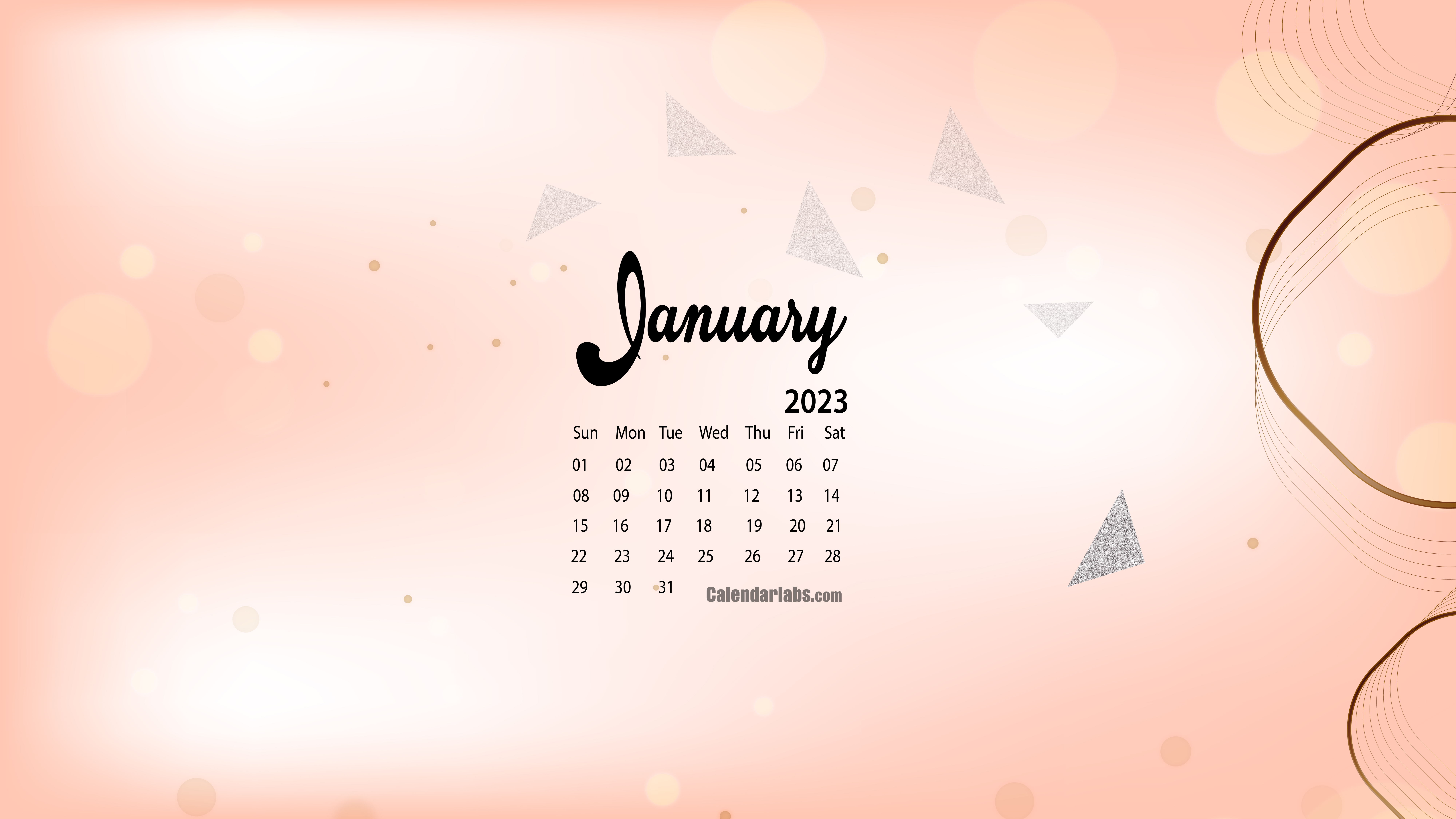 Calendar January With Aesthetic Background Calendar Aesthetic Background  Background Image And Wallpaper for Free Download