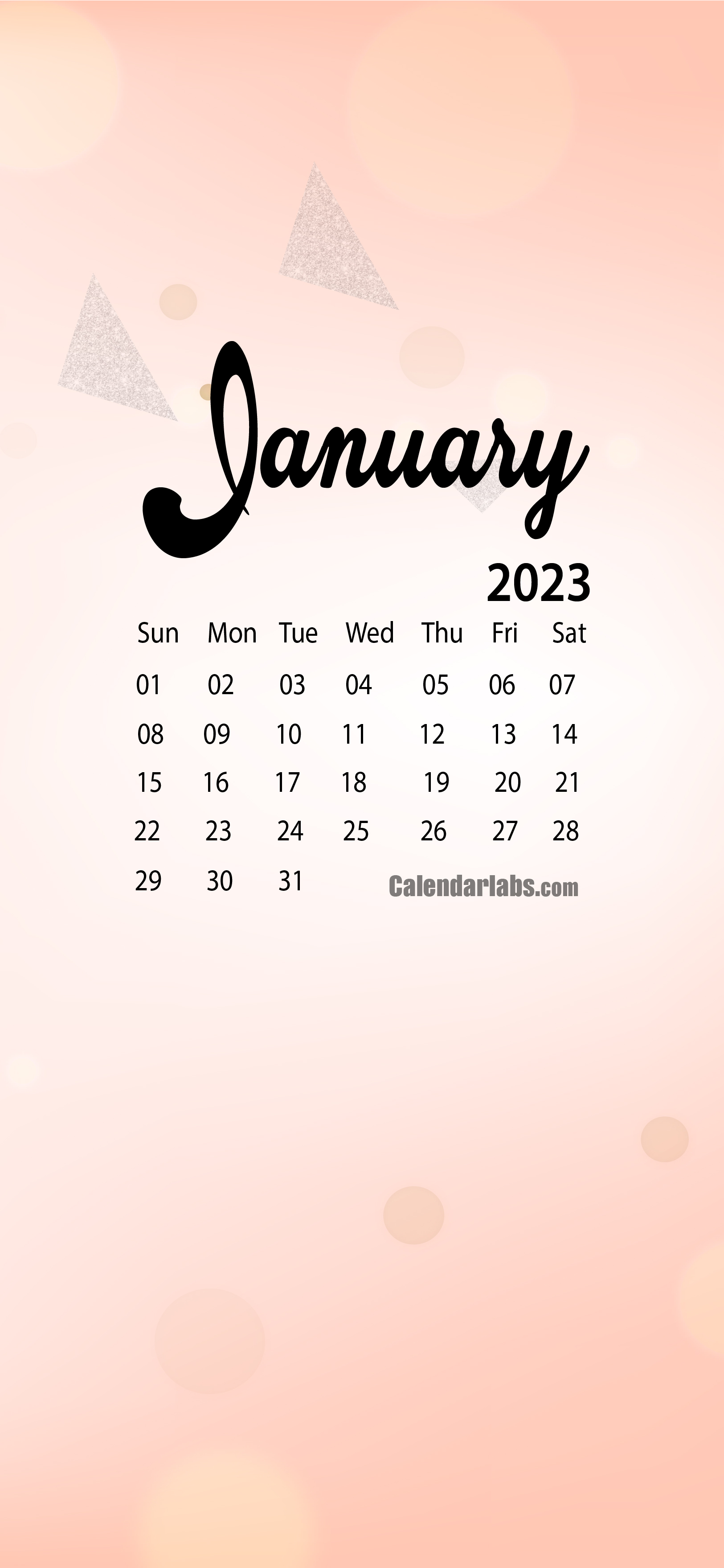 January 2023 Desktop Wallpaper Calendar - CalendarLabs