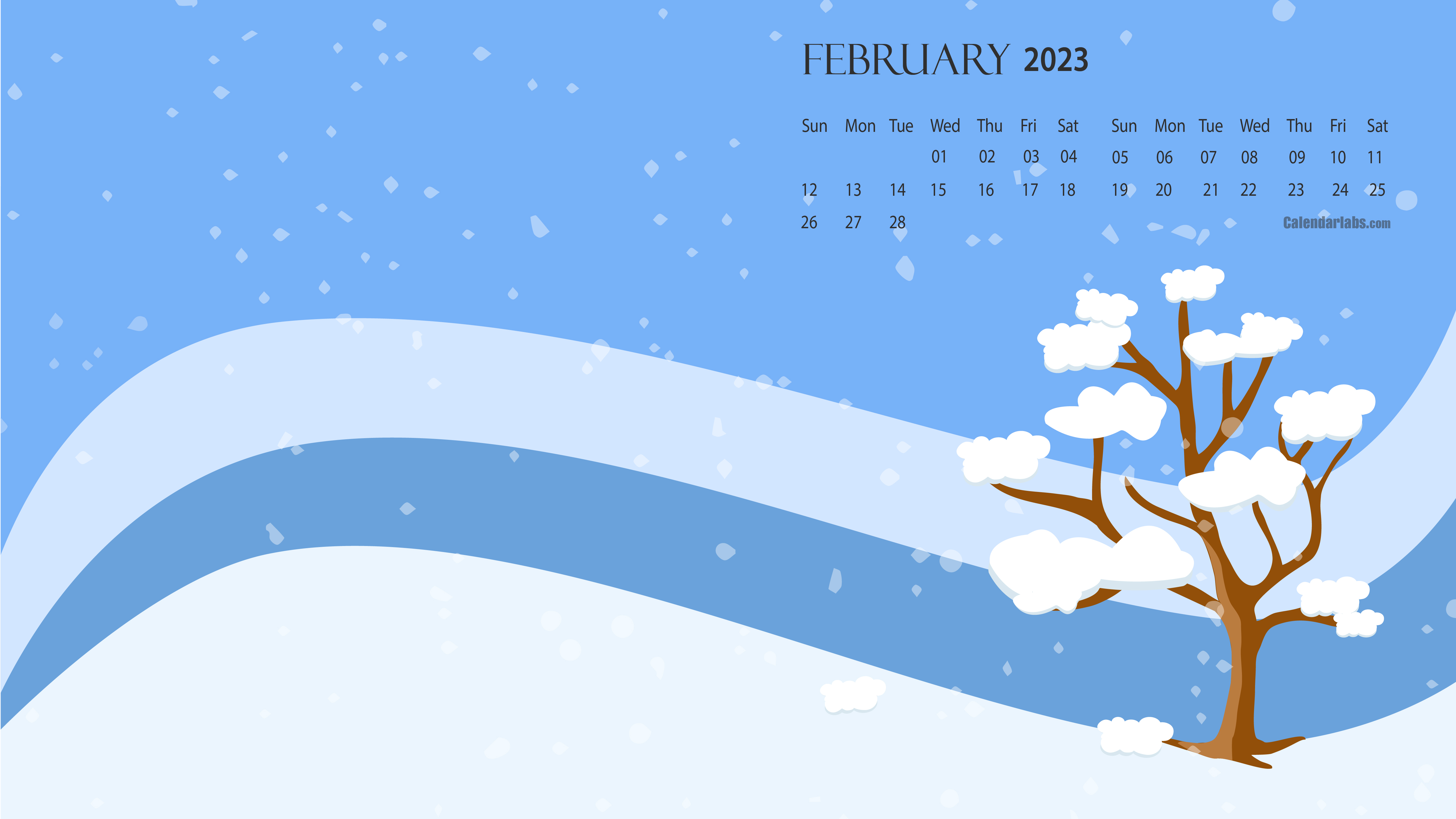 Free Wallpaper for February 2023  Six Leaf Design  Freelance Brand  Web  Designer  Denver CO