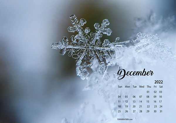 December 2022 Wallpaper Calendar Winter.png