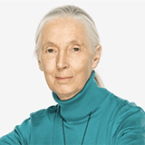 Jane Goodall